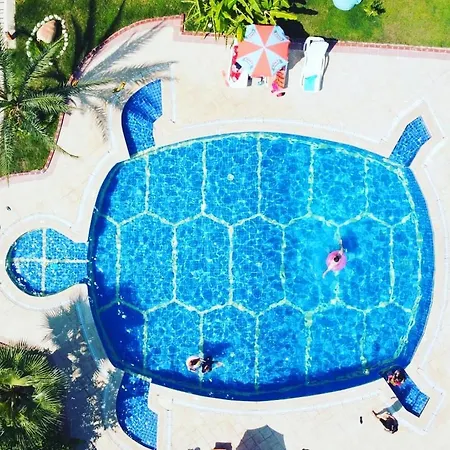 Turtle Apart-hotel Cedit