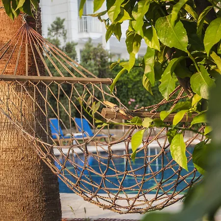 Apartmanhotel Turtle *